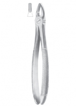 Fig.1 Upper Centrals & Canines 